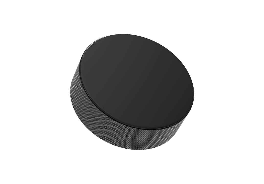 puck-2-1080-ty.png